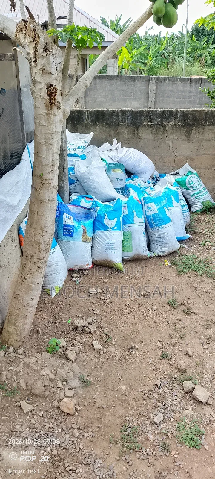 Poultry Manure