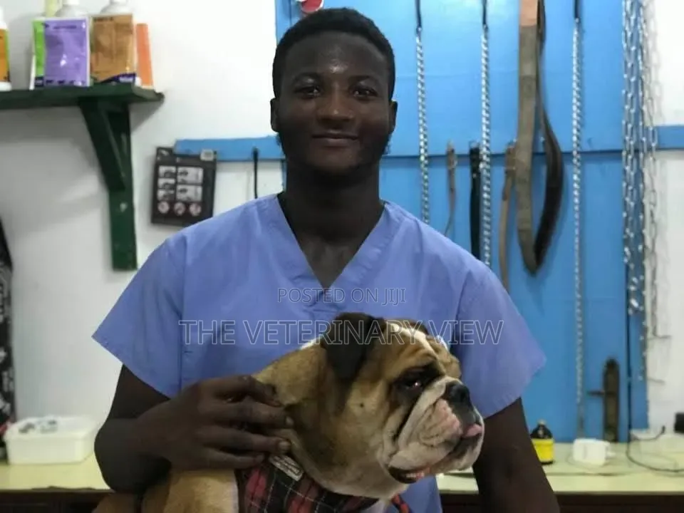 Veterinary Services