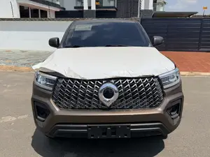 New Great Wall Poer Deluxe 2024 Brown
