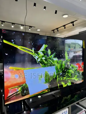Samsung Oled TV