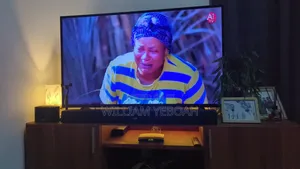 Television