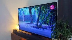 Television