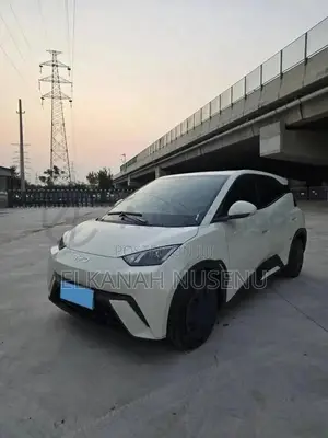 New BYD Seagull 2025 White