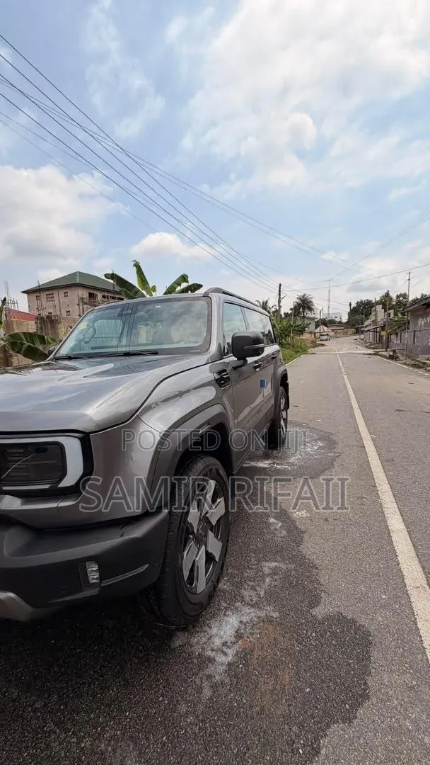 New BAIC BJ30e 2025 Gray