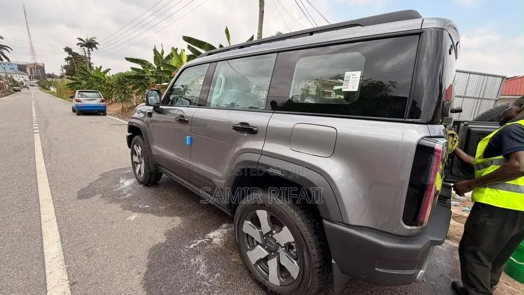 New BAIC BJ30e 2025 Gray