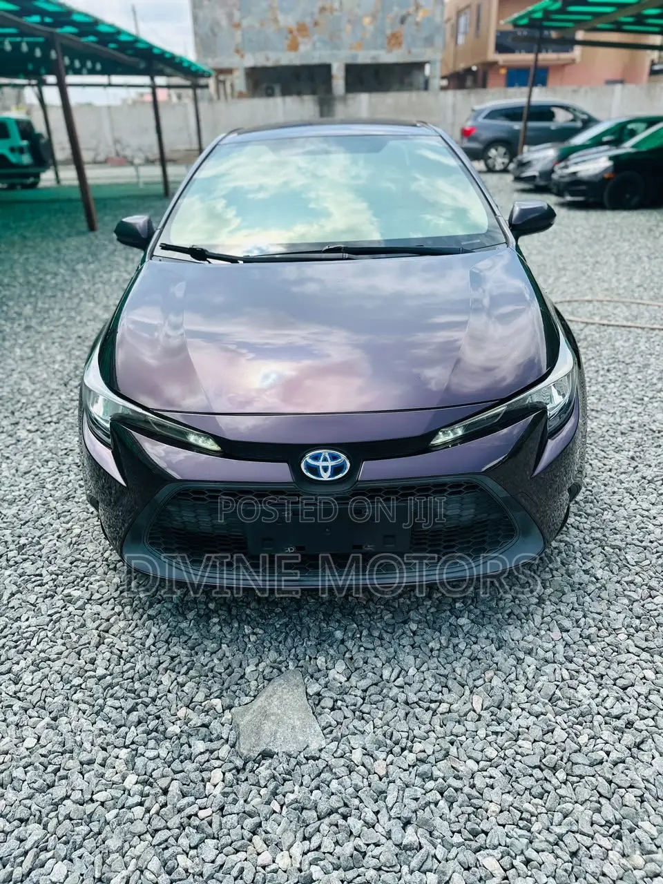 Toyota Levin Hybrid Entry 2019 Purple