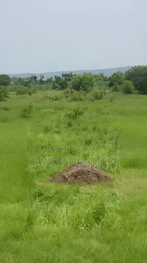 Plot of Land
