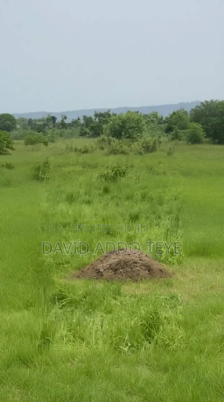 Plot of Land