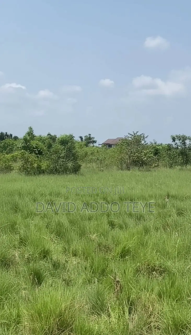 Plot of Land