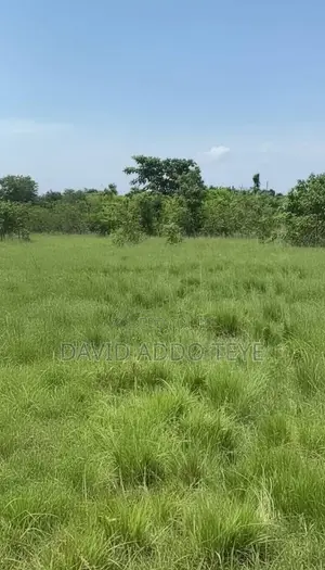 Plot of Land