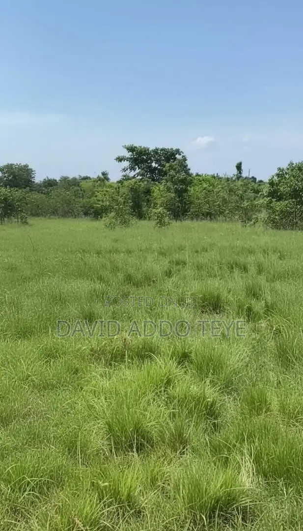Plot of Land