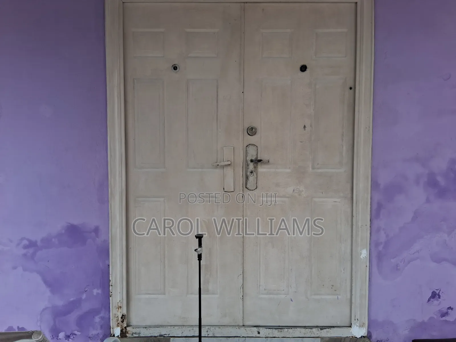 Painter - Murals, Walls, & Custom Designs
