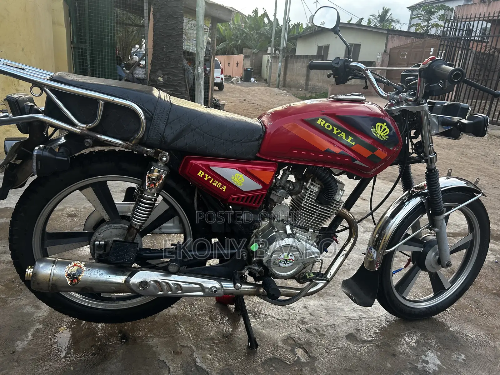 Royal RY125 2022 Red