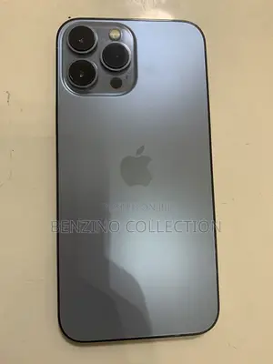 Apple iPhone 13 Pro Max 256 GB Gray