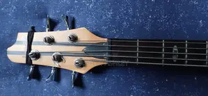 Bass Guitar