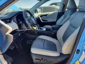 Toyota RAV4 XLE Premium FWD 2019 Blue