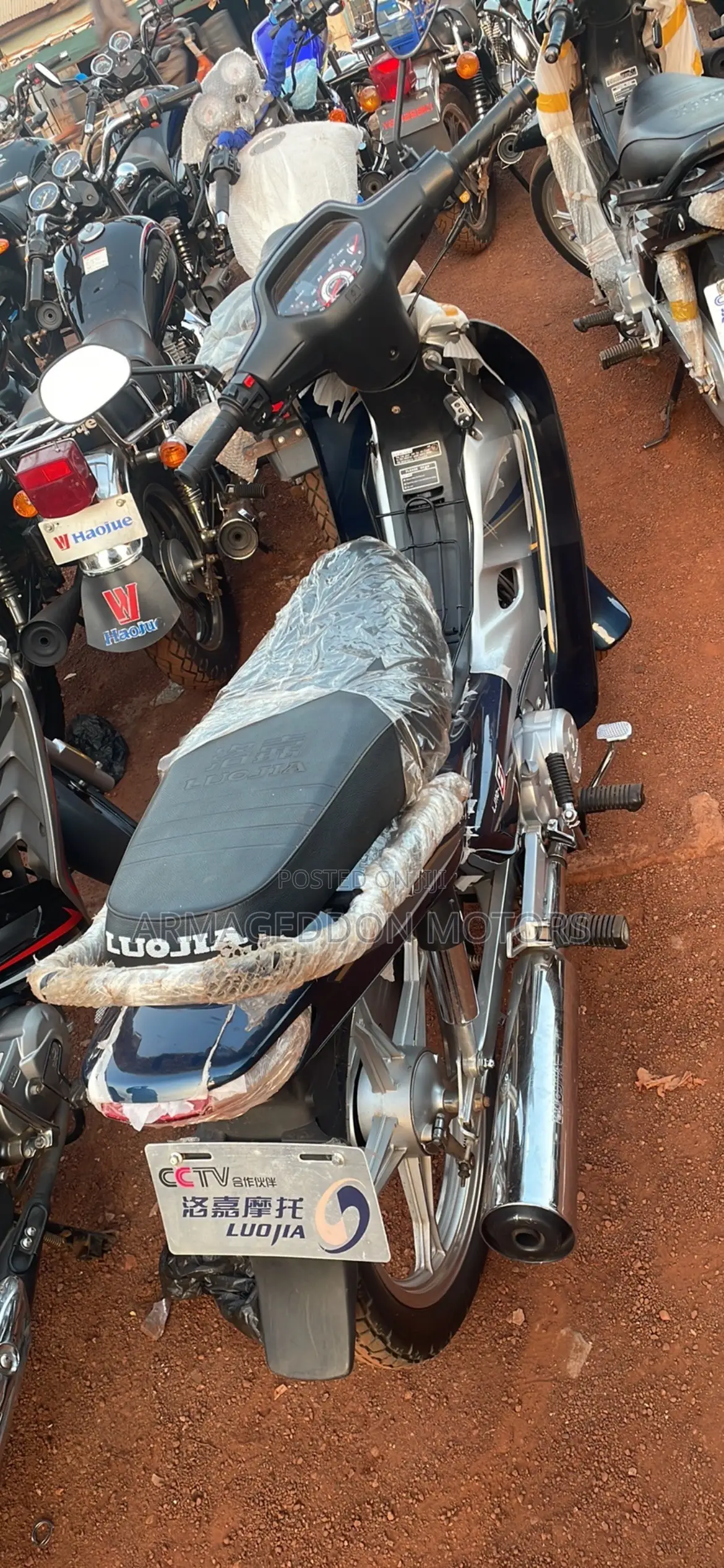 New Luojia 110cc 2022