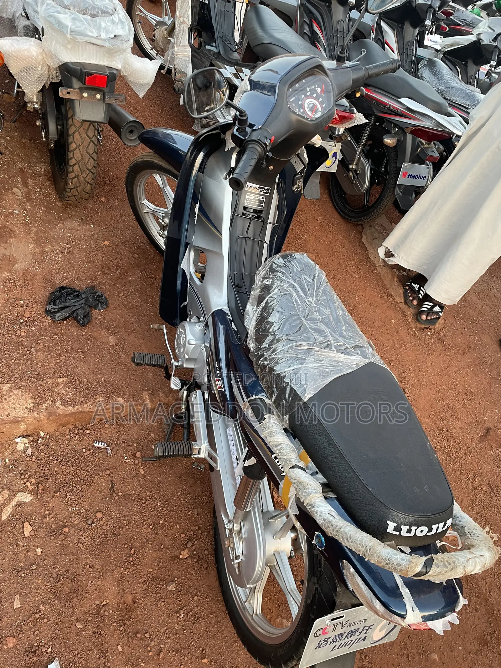 New Luojia 110cc 2022
