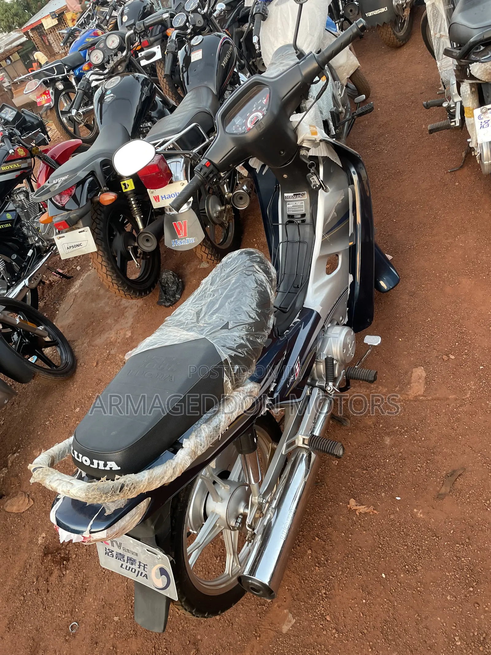 New Luojia 110cc 2022