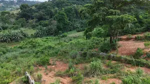 Land for Sale- Aburi, Peduase, Nkumkrom