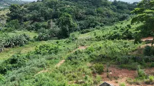 Land for Sale- Aburi, Peduase, Nkumkrom