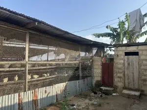 Poultry Farm for Sale