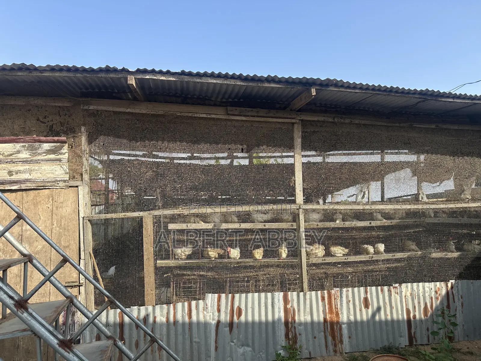 Poultry Farm for Sale