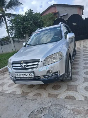 Daewoo Winstorm 2010 Silver