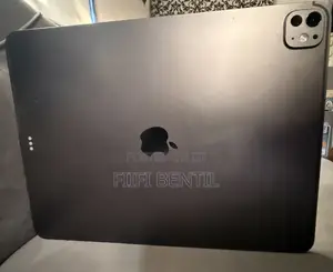 Apple iPad Pro 13 (2024) 256 GB Gray