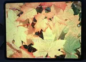 Apple iPad Pro 13 (2024) 256 GB Gray