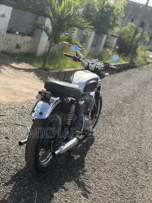 Kawasaki W800 2017 Silver