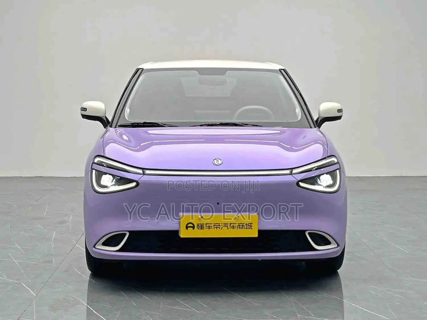 Dongfeng Nammi 01 42.3 kWh 430 Plus 2025 Purple