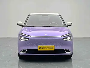 Dongfeng Nammi 01 42.3 kWh 430 Plus 2025 Purple