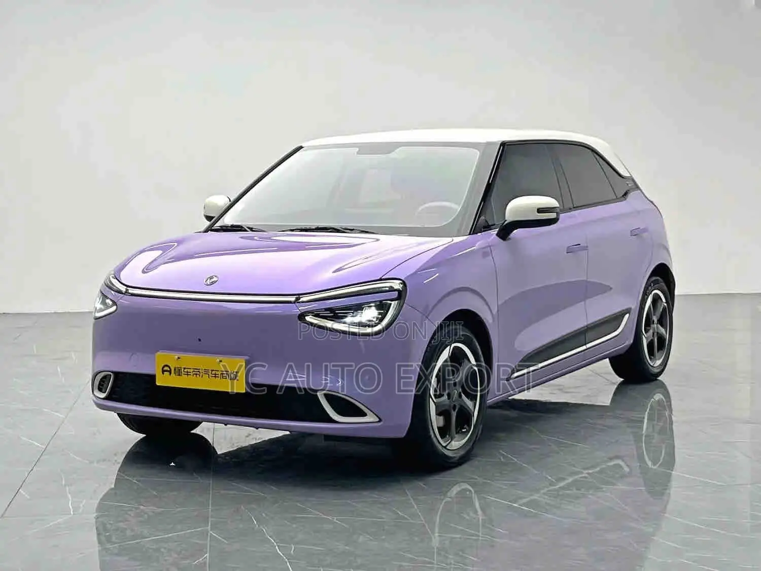 Dongfeng Nammi 01 42.3 kWh 430 Plus 2025 Purple