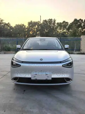 Dongfeng Nammi 01 42.3 kWh 430 Plus 2025 Silver