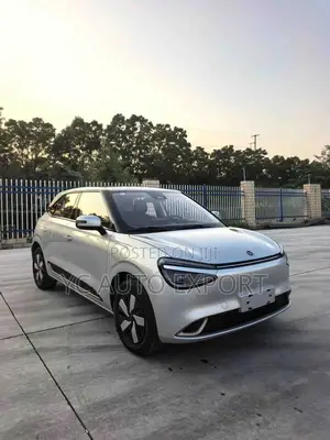Dongfeng Nammi 01 42.3 kWh 430 Plus 2025 Silver