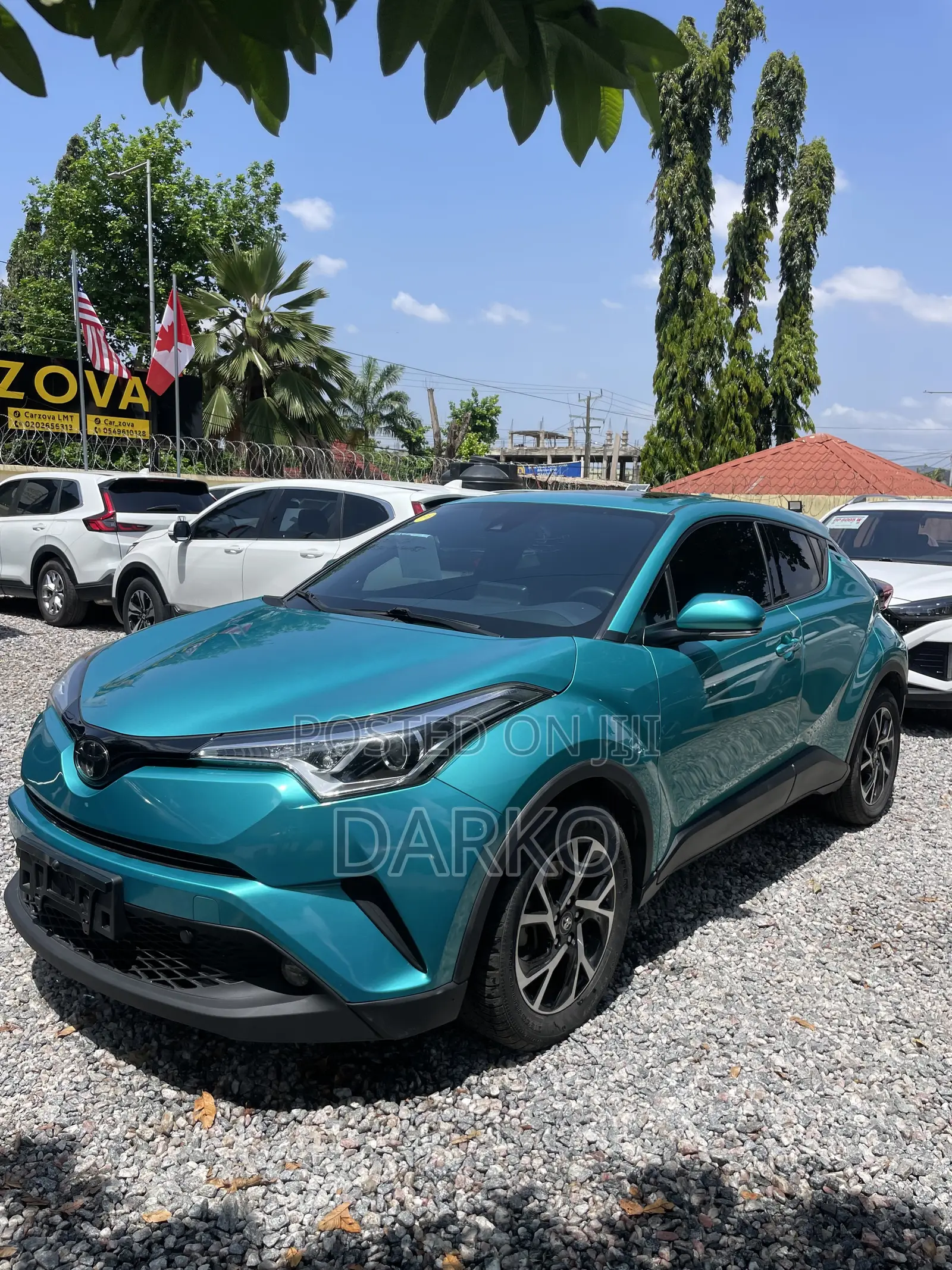 Toyota C-HR XLE FWD 2019 Green