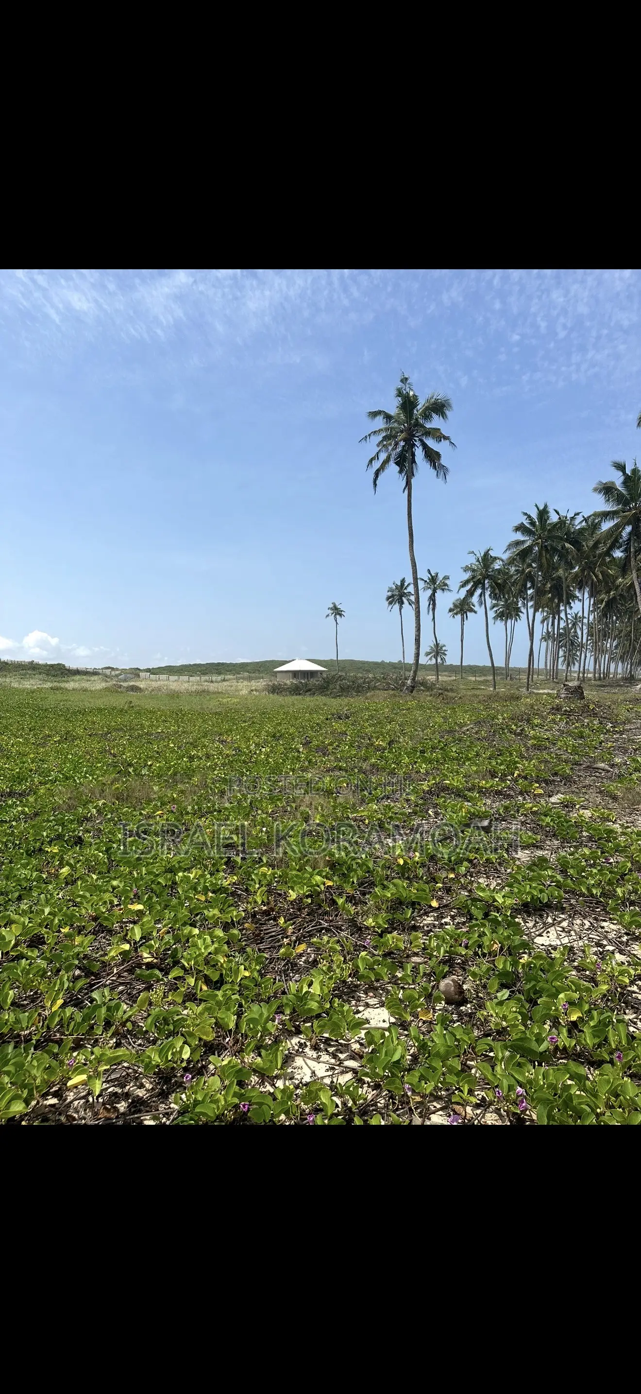 22 Beachfront Plots for Sale!