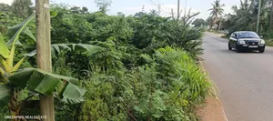 Full Plot at Ahinsan Estate Main Road