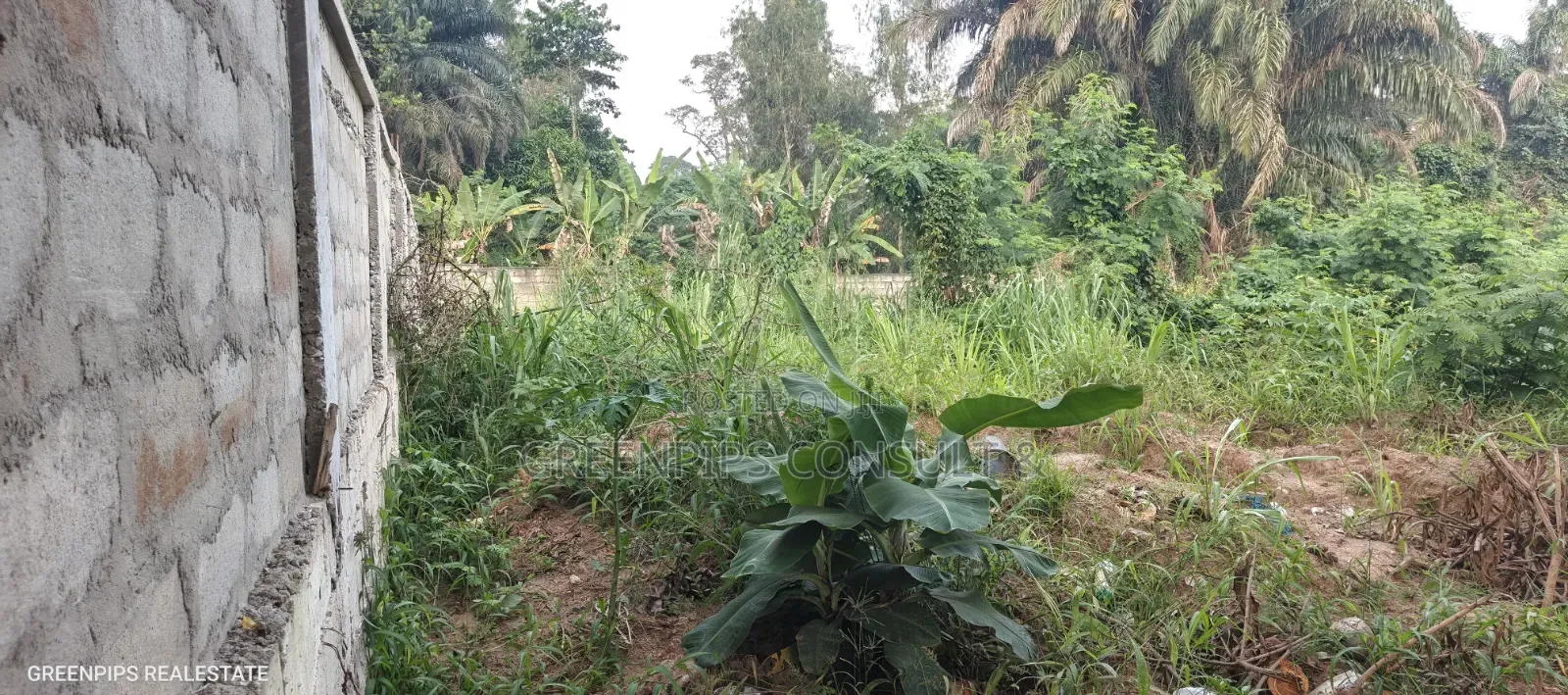 Full Plot at Ahinsan Estate Main Road