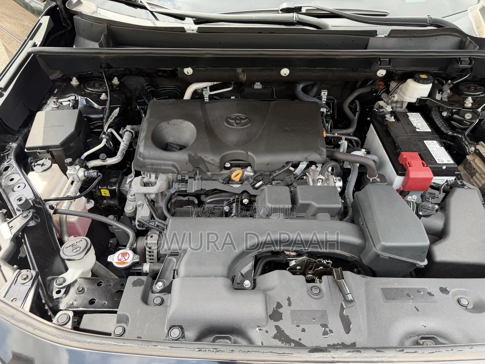 Toyota RAV4 XLE AWD 2023 Black