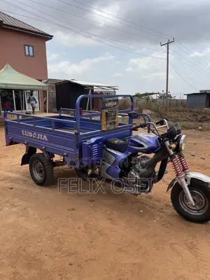 Luojia LJ110ZH-A 2024 Purple