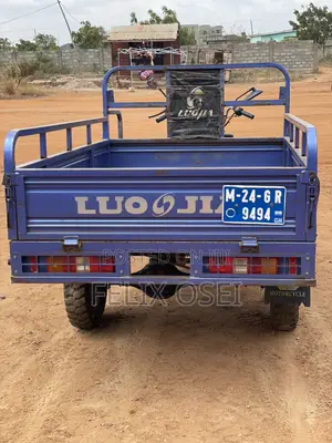 Luojia LJ110ZH-A 2024 Purple