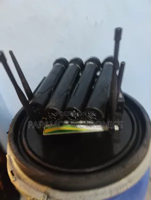 MadBoy U-Tube 20 and 2 Microphones