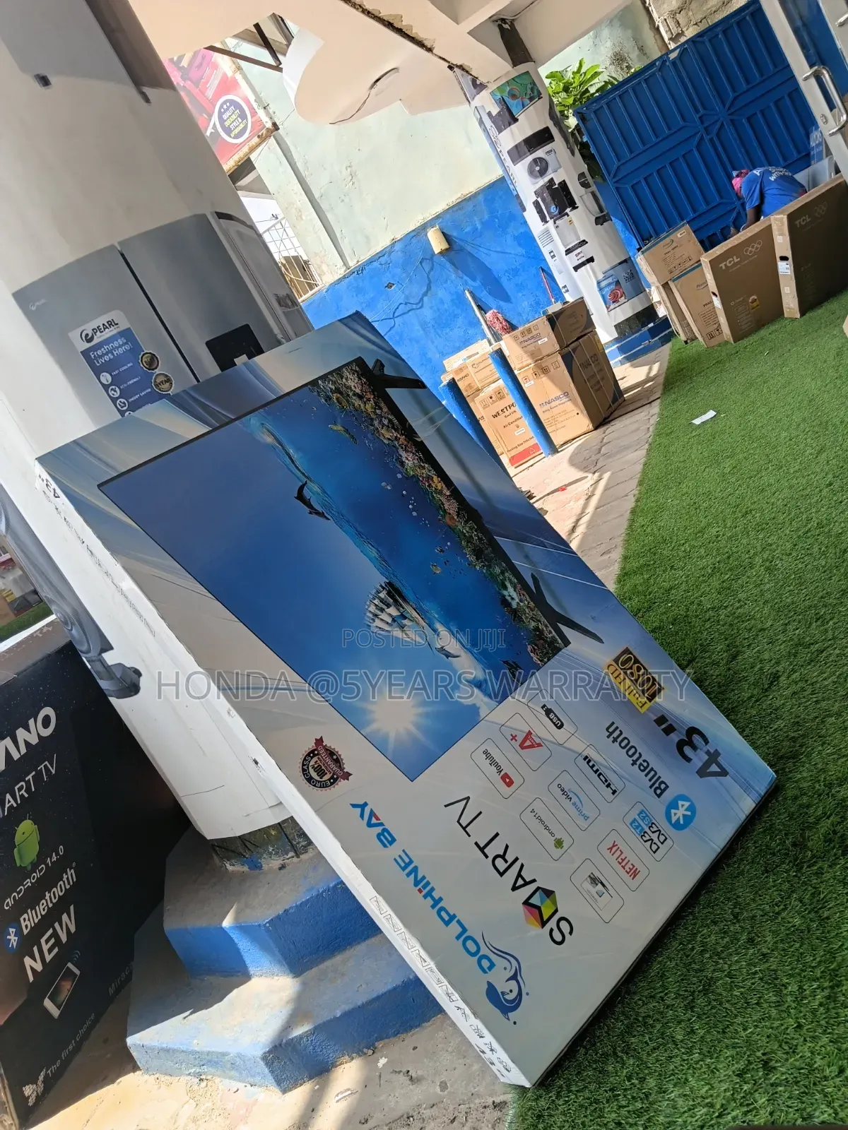 DDolphine Bay Smart Television - Inspiring