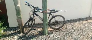 26 Sports Giant Mountain Bicycle