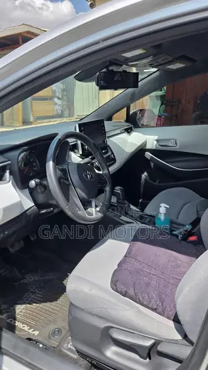 Toyota Corolla LE 2020 Gray