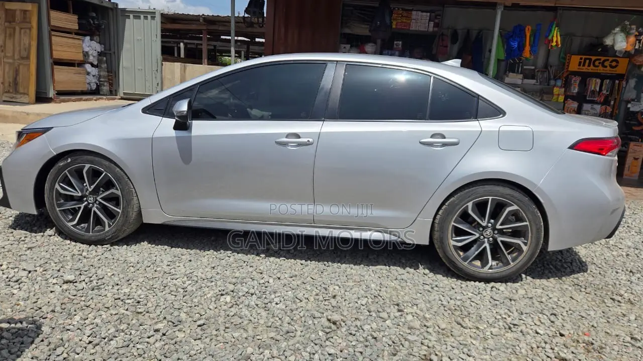 Toyota Corolla LE 2020 Gray