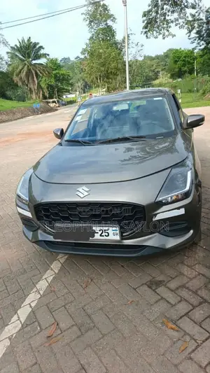 New Suzuki Swift 2025 Gray