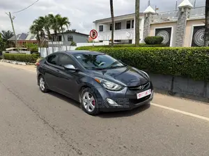 Hyundai Elantra GLS Sedan FWD (1.8L 4cyl 6M) 2013 Gray